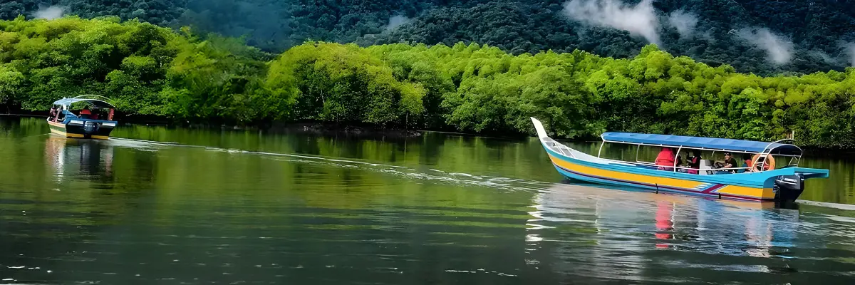 Langkawi Mangrove Tour | Explore Kilim Geoforest Park from RM30/Pax Langkawi sharing boat tour