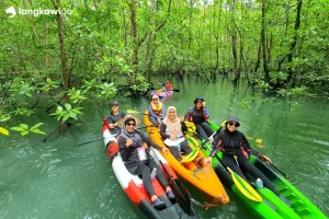Mangrove Kayaking Tour Langkawi | RM120 Per Person 2026 Promo Mangrove kayaking tour group in Kilim Geoforest Park