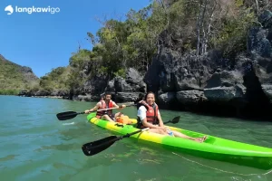 Mangrove Kayaking Tour Langkawi | RM120 Per Person 2026 Promo Kayakers below limestone cliffs, Kilim