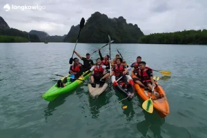 Mangrove Kayaking Tour Langkawi | RM120 Per Person 2026 Promo Group of kayaks raising paddles in Kilim Geoforest Park