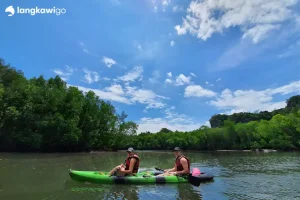 Mangrove Kayaking Tour Langkawi | RM120 Per Person 2026 Promo Two kayakers paddling past mangroves in Kilim