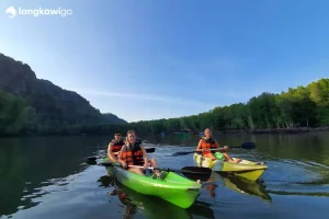 Mangrove Kayaking Tour Langkawi | RM120 Per Person 2026 Promo Two kayaks on the mangrove river in Kilim Geoforest Park