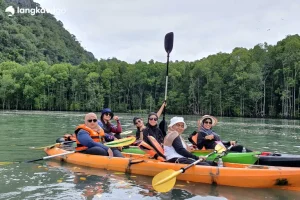 Mangrove Kayaking Tour Langkawi | RM120 Per Person 2026 Promo Mangrove kayaking tour langkawi