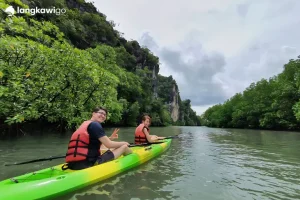 Mangrove Kayaking Tour Langkawi | RM120 Per Person 2026 Promo Langkawi Kayak Adventures: Explore the Island s Waterways