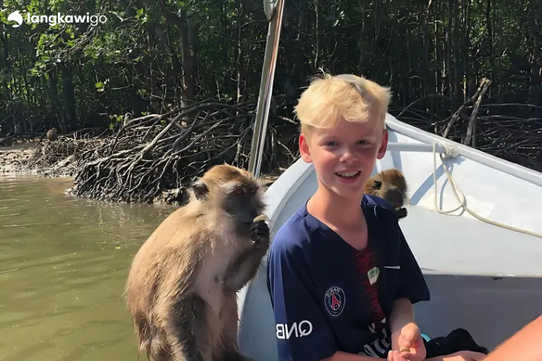Langkawi Mangrove Tour | Explore Kilim Geoforest Park from RM30/Pax monkey friendly on boat tour